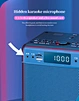 Outdoor karaoke speaker